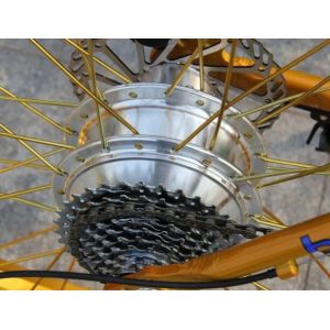 50km/H 48v 1000 Watt Electric Mountain Bike