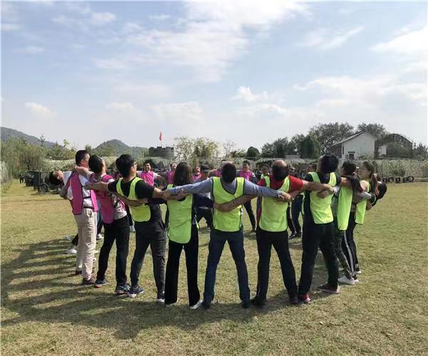 ZF8089 HOWO Schachmann8098957111 8098957130 Power Steering Gearbox 2005- of Alloy Iron