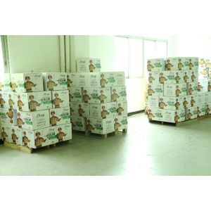 Guangdong Yian Technology Co., Ltd.