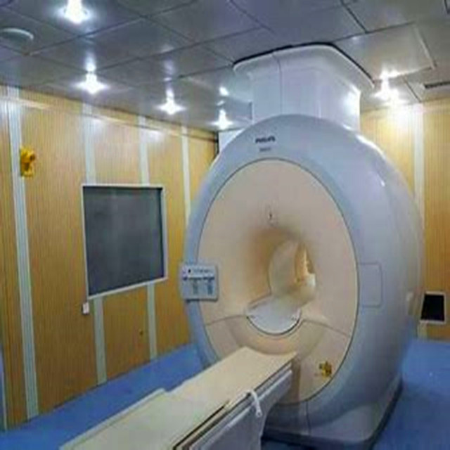 China Customized MRI RF CAGE RF Shielding Room wholesale