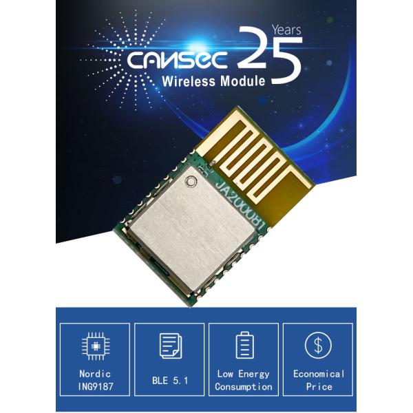 Ingchip Ing9187 RTS Module Wireless Cansec Ble 5.1 Module