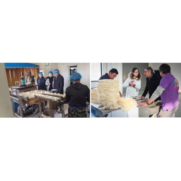 10 Inch Adjustable Arabic Bread Making Machine Electric Heating