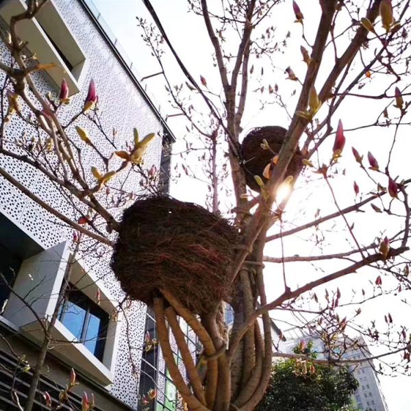 LED Simulation Bird'S Nest Lights Tree Shoot Outdoor Spot Light Waterproof Bird Rattan Cage Tree Garden