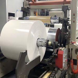 Manufacturer Wholesale Substitute PE Water-Based Materials Coated White Kraft