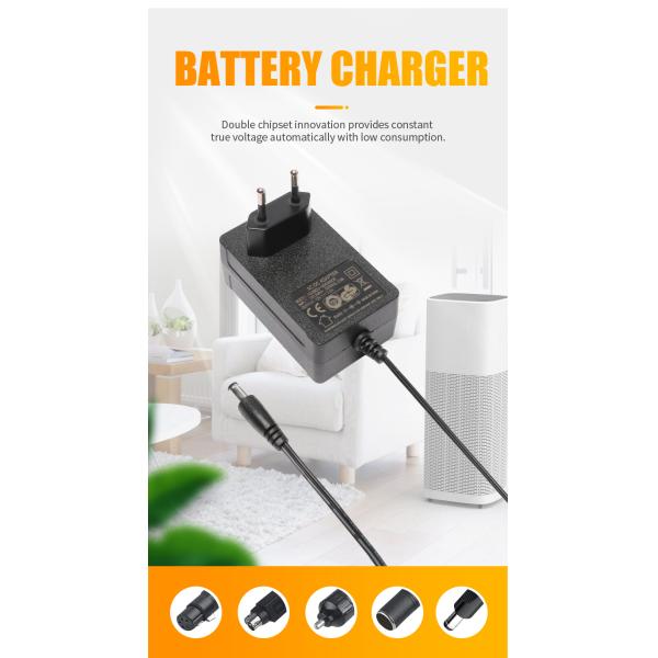 Adapter Dc 2a Type C Power Board E Bike Charger Wall Mount 8.4v 16.8v 25.2v 21v 2a Lithium Lion Battery Charger