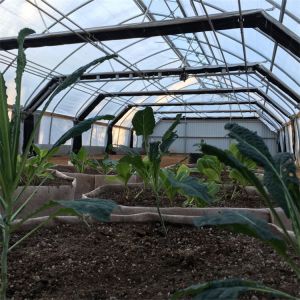 Cheap Medical Herbs Growing Large Blackout Automation Greenhouse Curtain Fabric