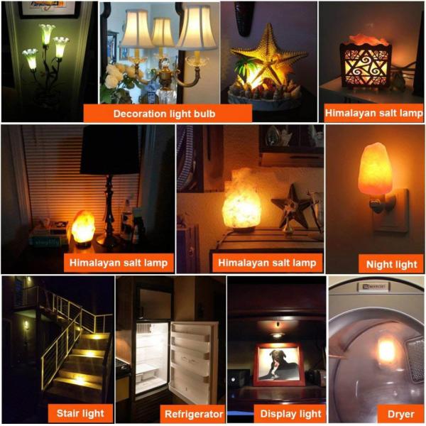 2W 4W LED Night Light Bulb T20 T22 E14 E12 230V