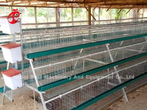 A Type 160 Capacity Layer Battery Cage System , Egg Laying Chicken Cage Sandy