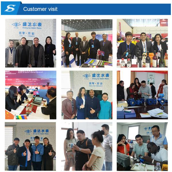 Shengda Water Meter Rf Frequency Vertical Prepaid Water Meter Digital Wet or Dry Type Brass