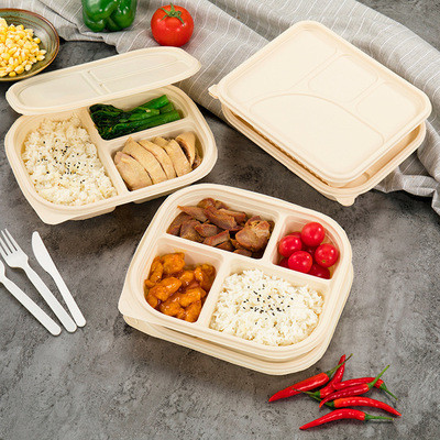 242*145*48mm Biodegradable Takeaway Boxes