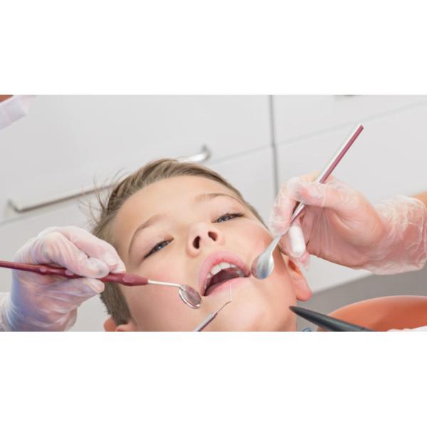 Oilproof Food Grade Cheap PVC Powder Free Vinyl Gloves