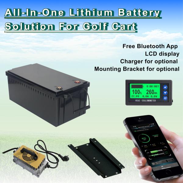 Lightweight Lithium LiFePo4 Battery , 48V 100Ah 105Ah Electric Golf Cart Batteries