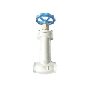 China Steam Jacket Globe Valve Cast Steel Customize Pressure SS Welding Cryogenic Valve wholesale
