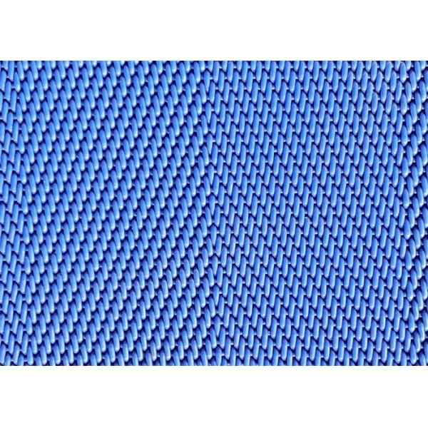 China Blue Polyester Mesh Belt Acid And Alkali Resistant Sample Available wholesale