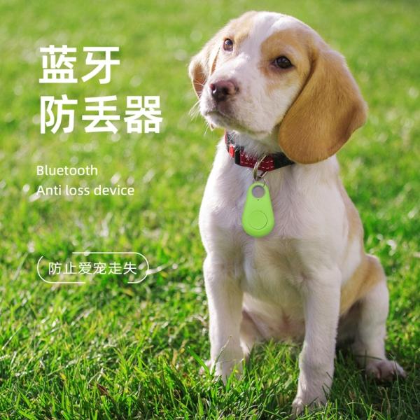 Battery GPS + Cellular Dual Mode Waterproof Cat Collar 4G LTE Multi Pet Compatible