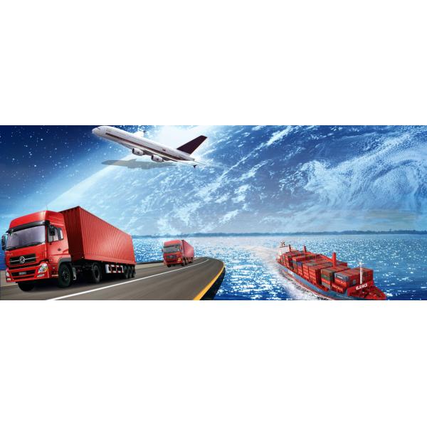 FCL Sea Freight Air Lcl China To Dominica International Maritime Container DDU