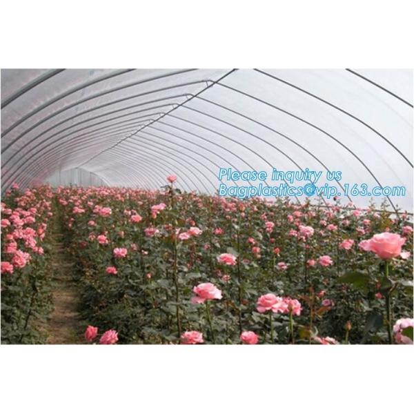 small garden green house,Multispan Tunnel Greenhouse for Tomato Agricultural Green houses,fabric steel wire agriculture
