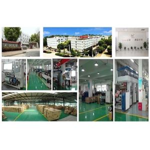 Wuhan Tianli Packing Co., Ltd
