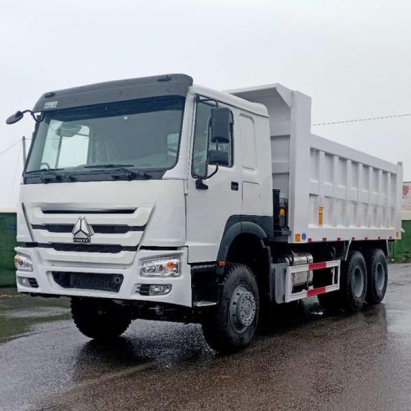Sinotruk Howo 6x4 30 Ton Dump Tipper Truck with 2 Passenger Seats and Video Support
