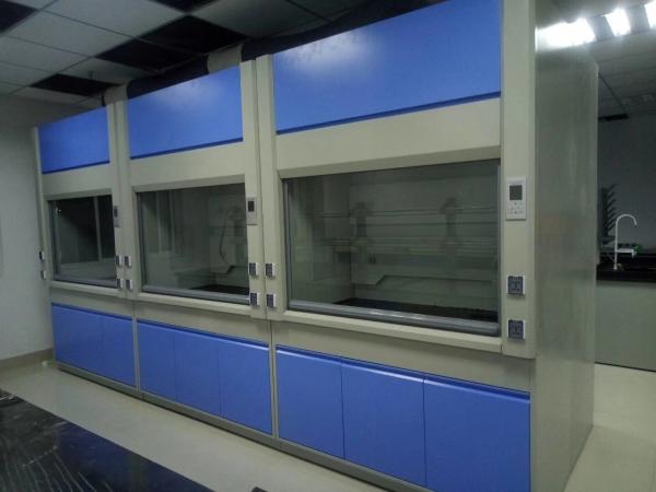 Quality CE Approved All Steel Laboratory Fume Cupboard Integral Design Standard Type Fume Hood for sale
