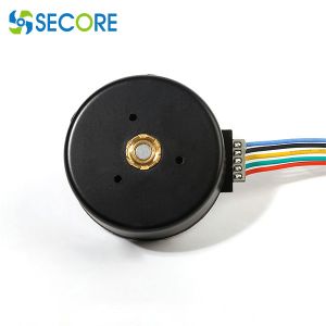 China Relaxation Massager 12v Outer Rotor BLDC Motor Brushless 3000rpm With Speed Controller wholesale