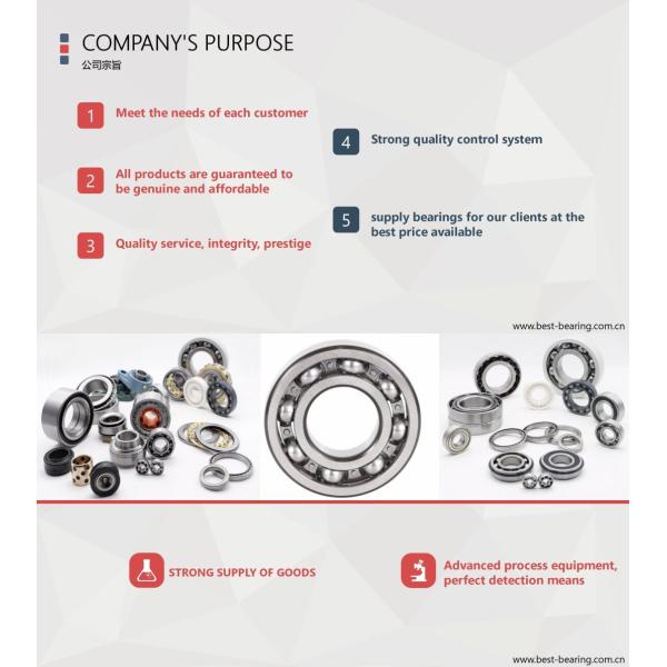 Auto Wheel Hub Bearing Clutch Bearing Tension Pulley Radial Bearing for Customization