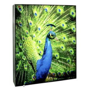 Buy cheap Frameless Fabric Aluminum Light Box DSA Phototech Backlit LED Lightbox from wholesalers