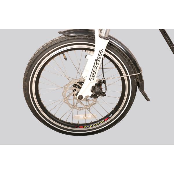 TUV EN15194 Battery Powered Folding Bike 36V 10Ah Li Ion Battery