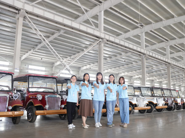 Electric Club Car Carryall 4x4 Utility Bed Range 90KM OEM