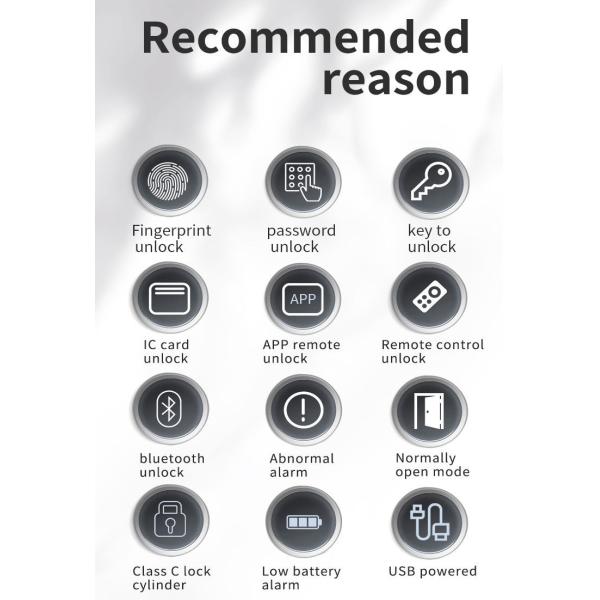 S819 Digital Smart Home Door Lock WiFi Enabled Tuya TTlock & Fingerprint with Password Key Card Lock