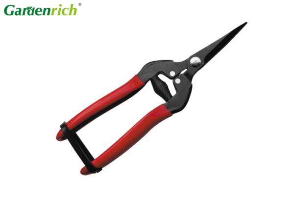 Quality 165mm Fruit Shears With 65#MN Steel Lower Blade / Soft PEC Grips / Curved Blade RG1148 for sale