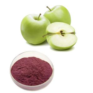 China Apple Extract With 60%-70% Apple Polyphenol For Skin Whiten Cosmetics wholesale