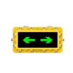 Customized Rechargeable Emergency Light 2W AC220V Explosion Proof LED Emergency