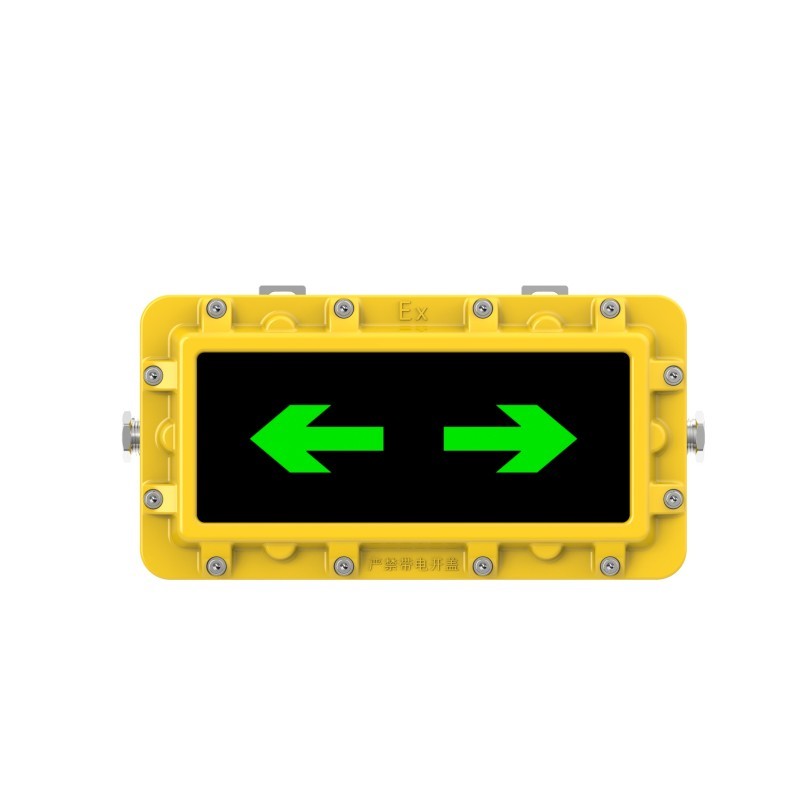 Customized Rechargeable Emergency Light 2W AC220V Explosion Proof LED Emergency