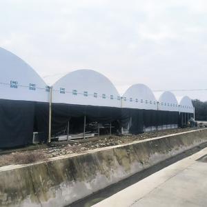 China Nursery Commercial Blackout System Plastic Panda Film Multi-span Greenhouse wholesale