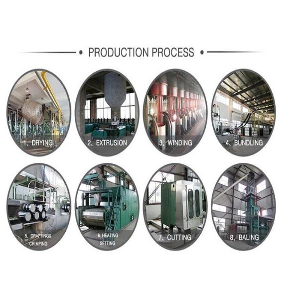 Polyester staple Fiber , Bulish Grey PSF 12D*51mm For Acoustic Panels, Best choice ,No defects, Good Oil control