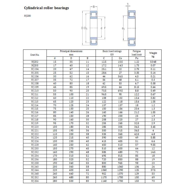 NJ200 Series Single Row Roller Bearing NJ220 NJ222 NJ226 Cylindrical Roller