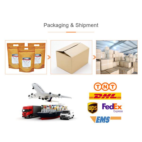 Travel Packing Custom Plastic Bags For Clothes T Shirt Swimwear Underwear Storage