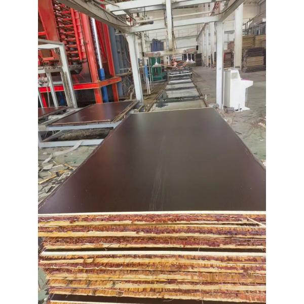 Marine White 18mm Wood Grain Melamine Plywood For Kitchen Cabinet