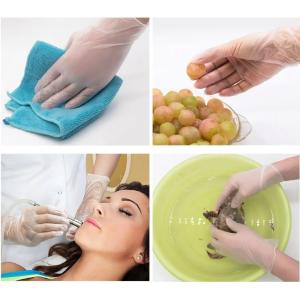 Housekeeping Disposable Vinyl Gloves Large Vinyl Kitchen Gloves DIDP Free