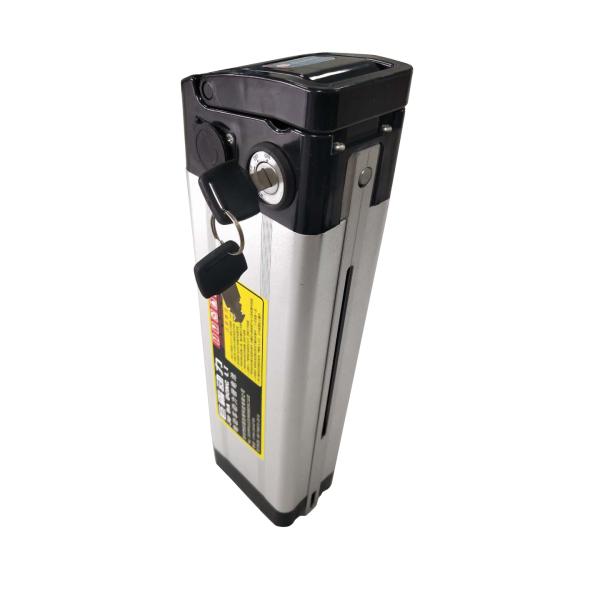 Two-Wheel Foldable Portable Electric Bike 40 Mile Range 48V 500W Rear Motor 20in