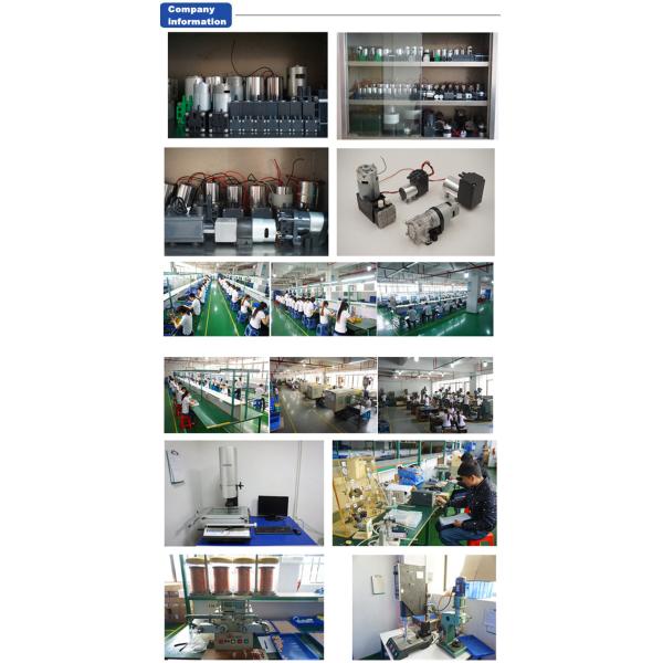 Adjustable Speed Electric Piston Pump PWM Brushless Low Noise Long Lifespan High Flow