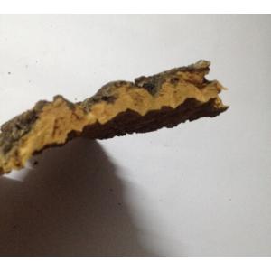 Randomly size,Frist-layer Nature Cork Bark Tiles,for Animals Enclosures