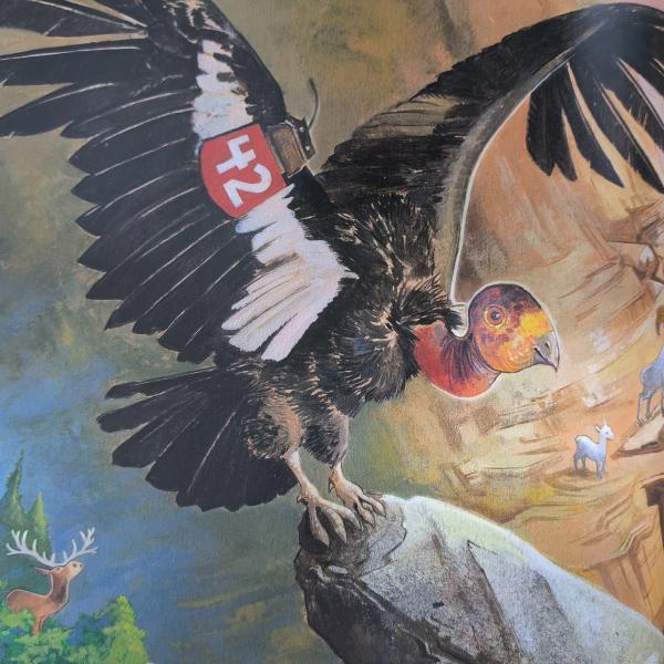 Scout Moore | Matte Lamination Cover Finishing Full Color 4c/4c Children Book Printing With 157GSM Gloss Art Paper