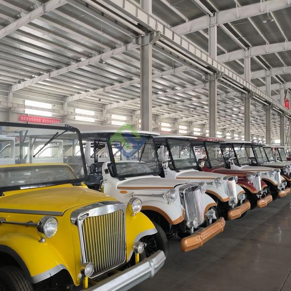 48V Electric 50 Mph Golf Cart Vehicle 6 Seater