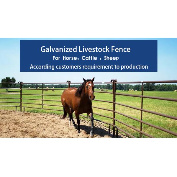 Horse Goat Corral Fence Panels Heavy Duty Q235 Q345 Carbon Steel