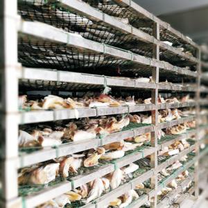 China Low-Temperature Dehumidifying Heat Pump Dehumidifier with 15-30°C Adjustable Temperature and 5-99% RH Adjustable Humidity for Fruit Drying Machine wholesale