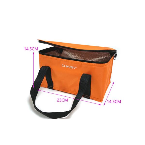 Full Color Printing 6 Can Cooler Bag , Beer Large Insulated Cooler Bags