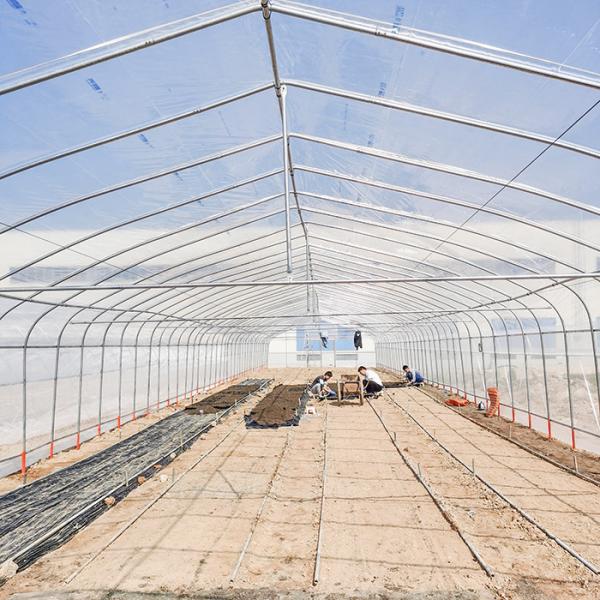 Backyard Agricultural Poly Tunnel Greenhouse Hot House For Plants