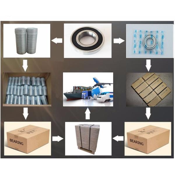 Precision C1 C5 C7 Ball Flanged Conveyor Bearings Roller Replacement 6301 2rs